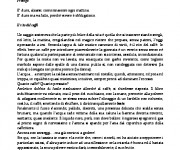 romanzo