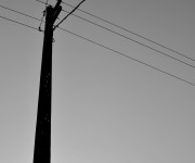 dsc_0230