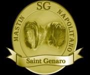 logo saint genaro1
