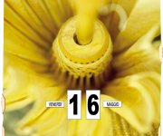 calendariperpetui.it