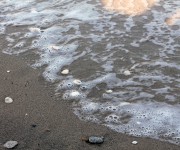img_9542