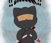 gato4