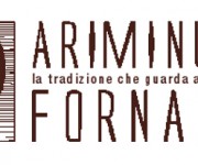 logo_ariminum