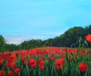 Dreaming springtime with poppies on canvas