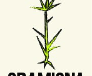 GRAMIGNA B.V. N.