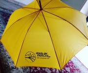 IMG_20180619_152101_454