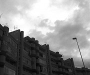 IMG_9073