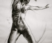 cercando la luce