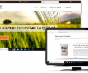 molinogolia-desktop - web site