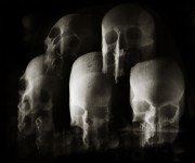 Augusto De Luca. Skulls 6.