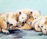 Sleeping bears