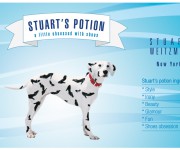 Stuart's potion