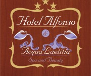 grafica - hotel alfonso_02