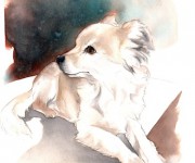 Cane - watercolor on paper (commissione)