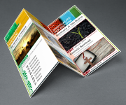 Trifold Brochure