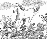 horse1BN