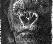 Kong-Peter Jackson\\s