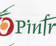 marchio Pinfruit