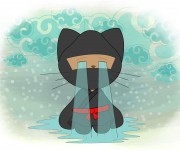 gato20