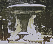album turiistico
