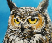 Funny owl II