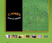 camel07