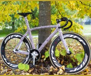 Lucius Bike 2