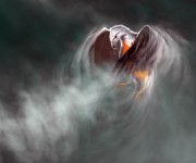 falco