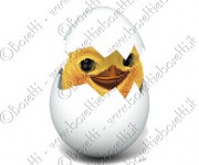 chicken in the egg