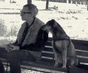friendship is...