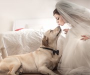 The Wedding Italian with dog