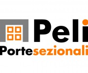 PELI logo