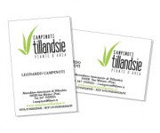 Campinoti Tillandsie, logo e biglietto da visita