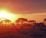 Tanzania Sunset - Serengeti