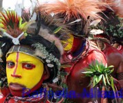 Guerriero Giallo-Papua Nuova Guinea-Raffaella Milandri