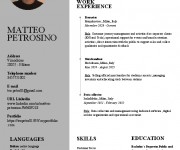 Petrosino Matteo CV
