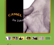 camel06