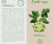 cartellino prodotto per società di coltivazione agritalia4