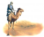 camel_and_sahara