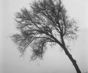 FINE ART 1