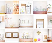 sponte collection