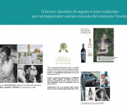 Impaginazione Catalogo Aziendale