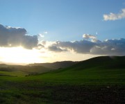dsc0428