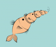 pesce nel pesce-01