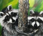 Two lovely guys - Portrait of raccoons