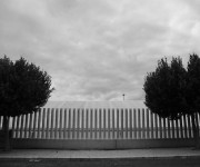 IMG_9035