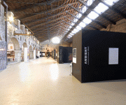 Ambient - Biennale Architettura