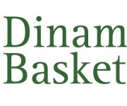 Realizzazione logo Dinamo Basket2000