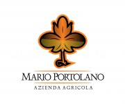 Logo per azienda vitivinicola 09 (2)
