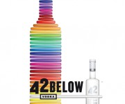Poster 42below Color Party 2011